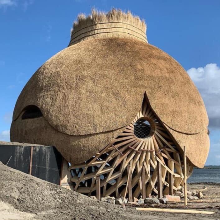 B&B Prive Tiny House Bij Zee ステレンダム エクステリア 写真